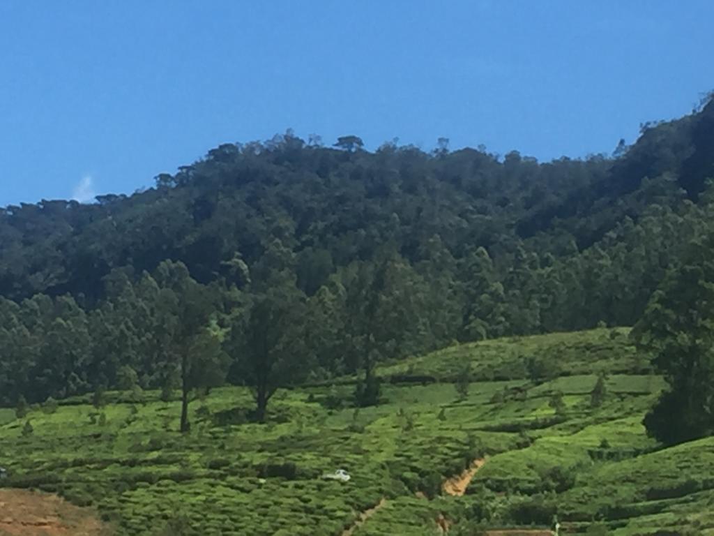 Perera Homestay Nuwara Eliya Exterior photo
